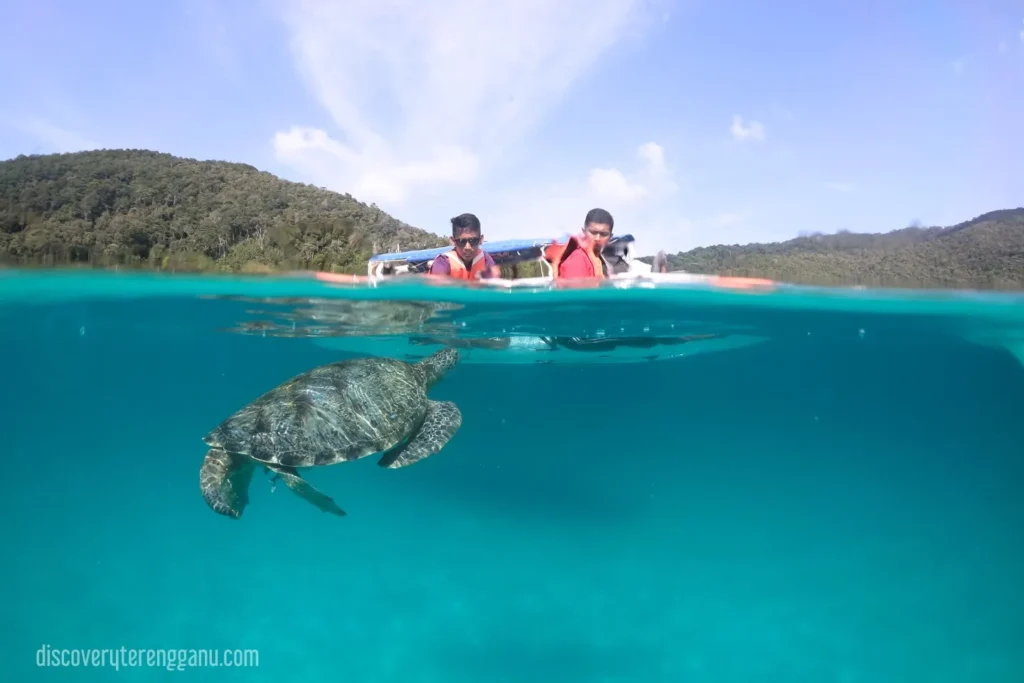 Melihat Penyu di Pulau Perhentian Day Trip