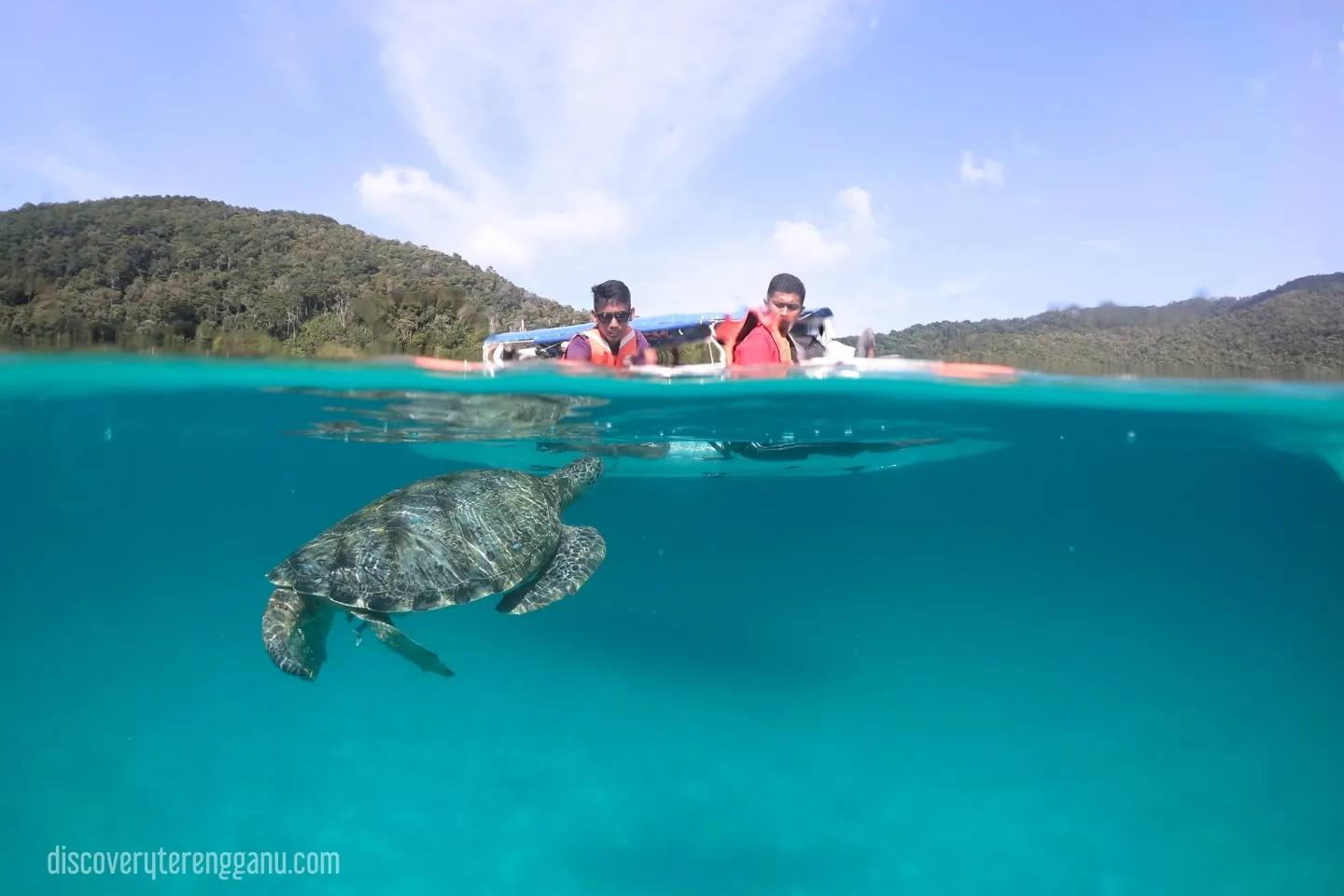 Melihat Penyu di Pulau Perhentian Day Trip